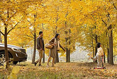 《为了吾王II》现已登陆PS5和Xbox | “本地合作”同步更新！